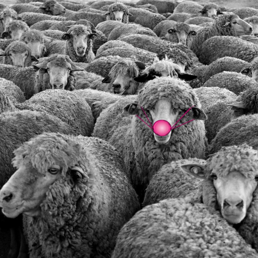 Web Design von nani vinken design