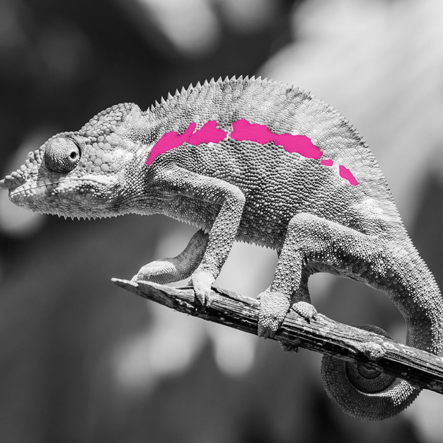 Responsive web design - vinken design