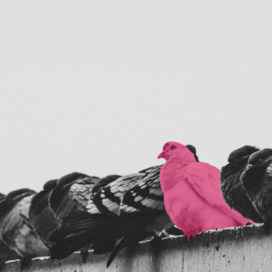 Social Media Agentur vinken design