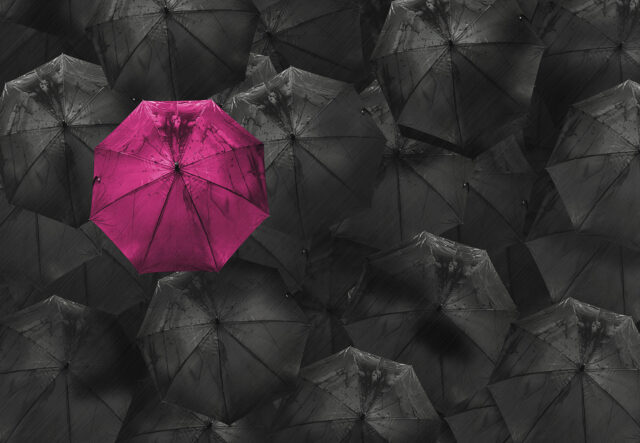 google Business für SEO