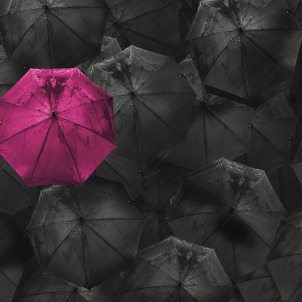 google Business für SEO