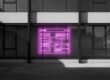 WordPress Agentur Krefeld: Maßgeschneiderte Websites mit Strategie & Seele